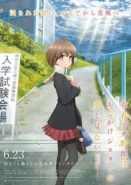 小马宝莉动画片中文版