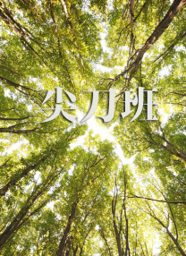 在那个版权意识尚未完全建立的年代，它们或多或少成为了许多人娱乐消费的选择。